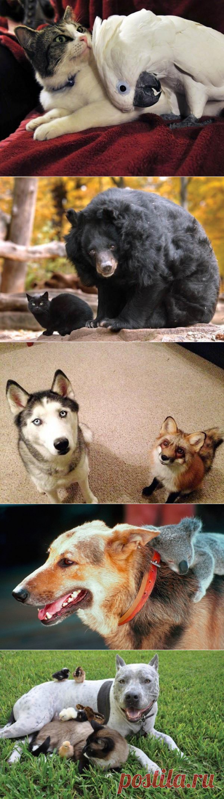 Необычный дизайн | Интерьер, Креатив, Арт, Декор | ВКонтакте