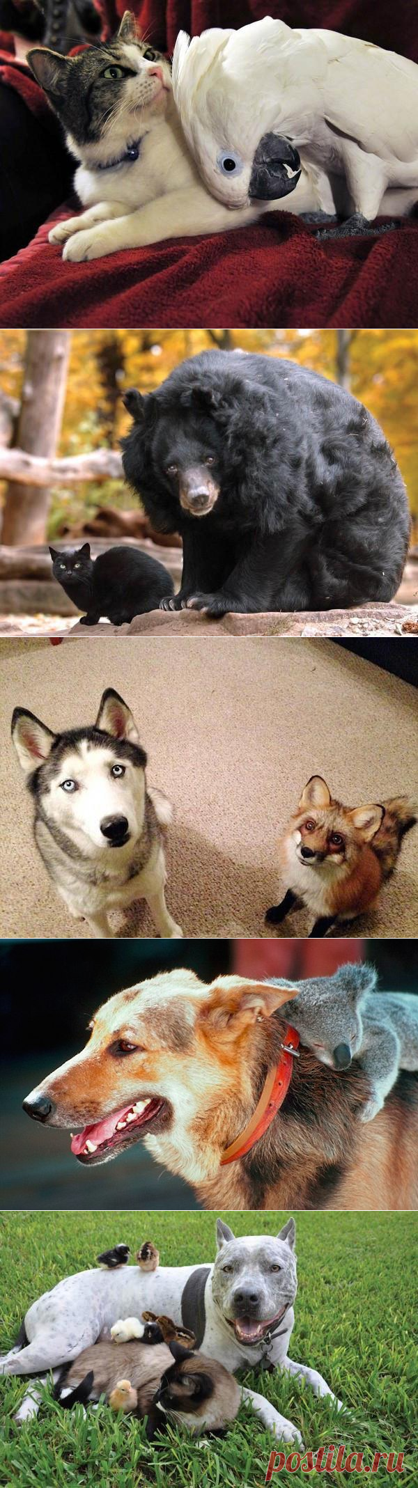 Дружба против правил.