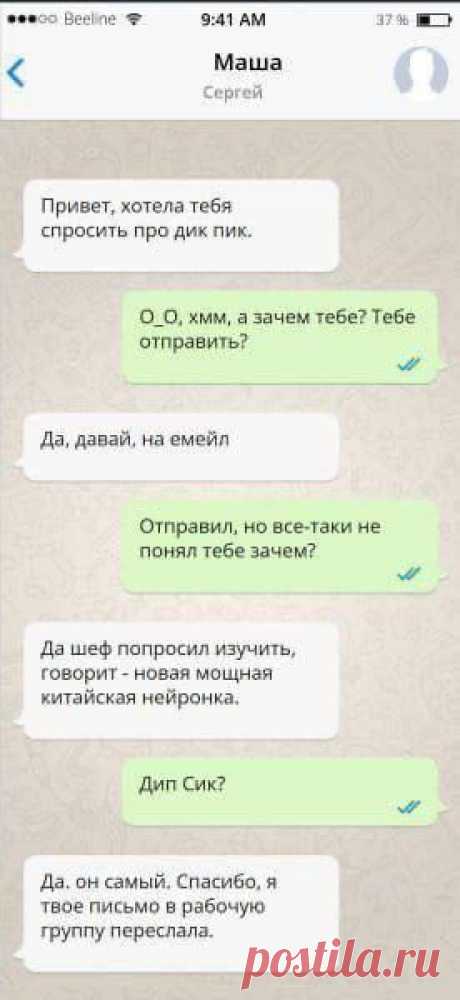 Китайский дик пик https://seosey.ru/2025/dik-pik.html
#юмор #технологии #нейросети #deepseek