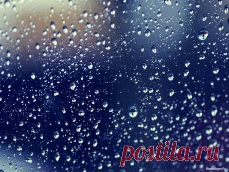 Банк Обоев: обои Эти большие капли дождя,  - Обои для рабочего стола Эти большие капли дождя фото - Раздел обоев: (капли воды)