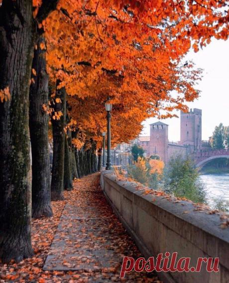 #Верона@discoverygroup