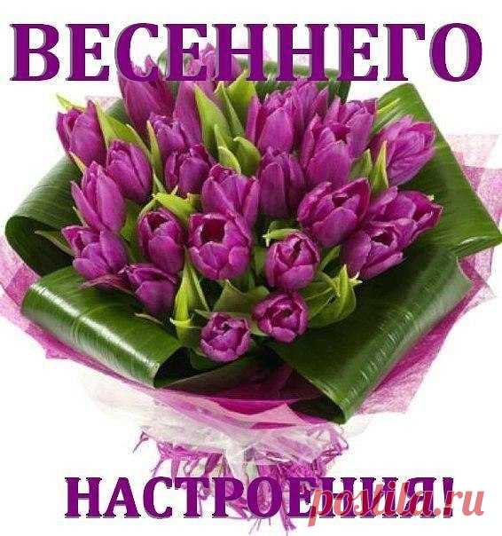 Ольга Ломакина - Семипалатинск, Восточно-Казахстанская область, Казахстан на Мой Мир@Mail.ru