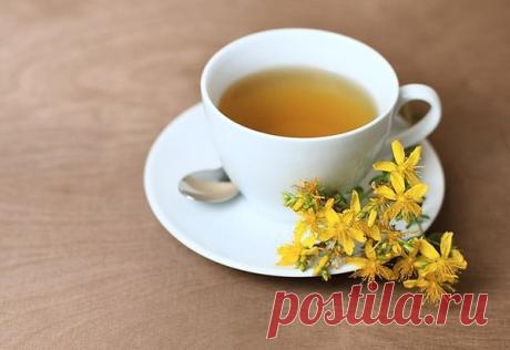 Зверобой - растение, которое приносит счастье
