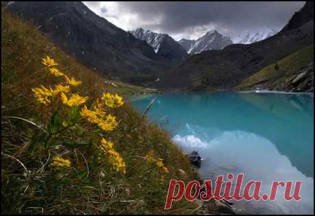 пейзажи горного алтая фото: 2 тыс изображений найдено в Яндекс.Картинках
