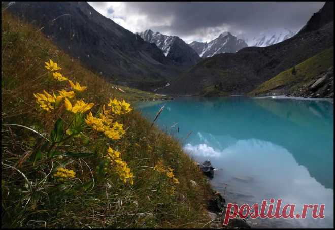пейзажи горного алтая фото: 2 тыс изображений найдено в Яндекс.Картинках