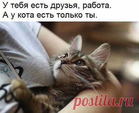 Интересные новости