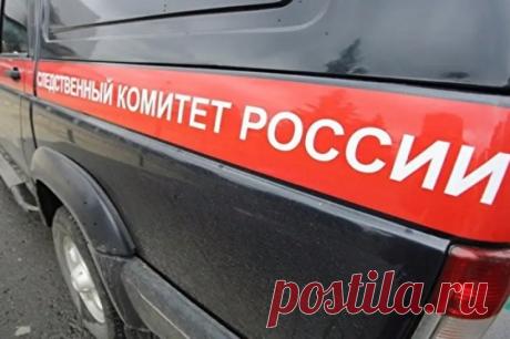 В Саратове проверяют информацию о высадке из маршрутки школьницы. Инцидент с участием девятилетнего ребенка произошел в Ленинском районе.