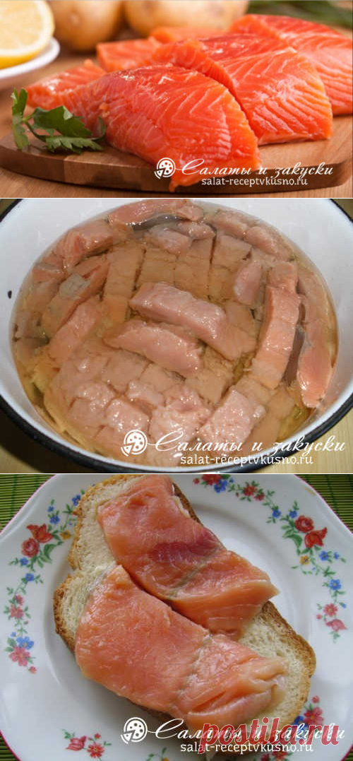 Как быстро и вкусно засолить горбушу в домашних условиях: 6 рецептов