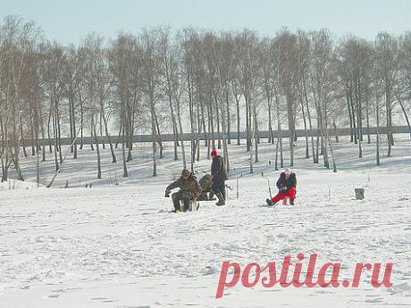 Вести с водоемов России В конце января рыбалка по стране была, как говорится, на любой вкус. На Камчатке в разгаре добыча минтая и наваги, а рыболовы-любители готовятся к