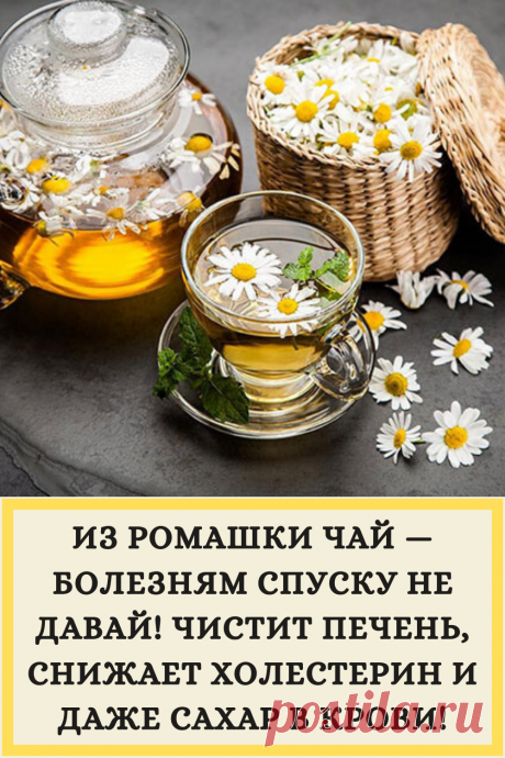 ИЗ РОМАШКИ ЧАЙ — БОЛЕЗНЯМ СПУСКУ НЕ ДАВАЙ! ЧИСТИТ ПЕЧЕНЬ, СНИЖАЕТ ХОЛЕСТЕРИН И ДАЖЕ САХАР В КРОВИ!