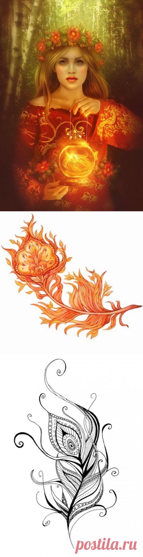 Яндекс.Фотки