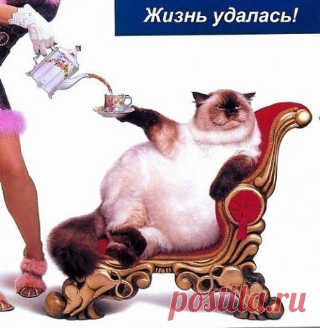 жизнь удалась