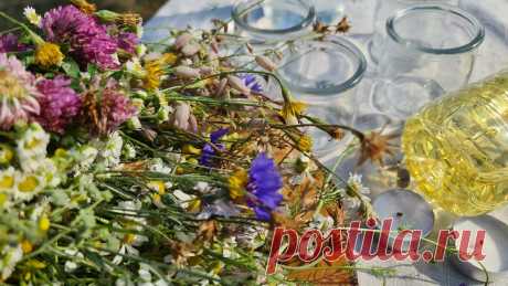 Ну вот и ненужные баночки пригодились: наполнили их полевыми цветами, водой, маслом и… подожгли
Пожалуй, эта затея станет нашем фаворитом среди летних затей! Максимально просто, доступно, но уж очень красиво. Берем любые баночки, у нас, например, от йогурта. Размер …
Читай дальше на сайте. Жми подробнее ➡
