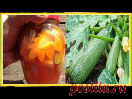 СЕКРЕТЫ ВЫРАЩИВАНИЯ КАБАЧКОВ ПЛЮС СУПЕР ВКУСНЫЙ РЕЦЕПТ МАРИНОВАННЫХ КАБАЧКОВ НА ЗИМУ