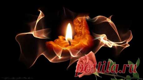 Svetlana Bolotova - Google+