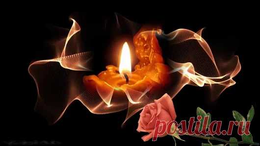 Svetlana Bolotova - Google+