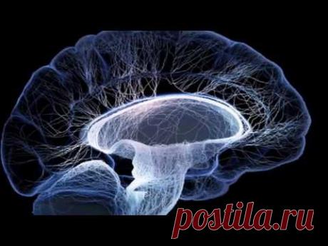 Очищение сосудов мозга: уникальные методики