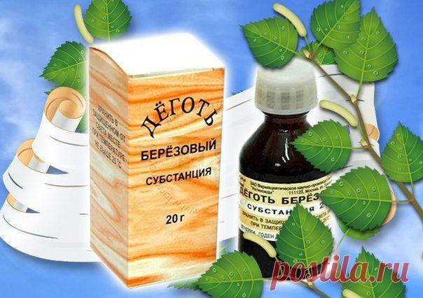 Очищение организма берёзовым дёгтем