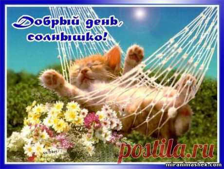 К солнцу руки протяну, солнце крепко обниму! Принесу тебе привет! Солнца лучиков букет!