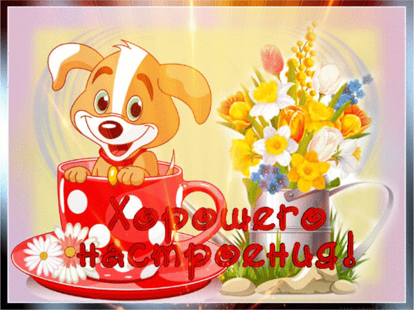 (3) Мой Мир@Mail.Ru