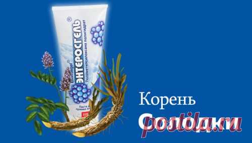 Сироп солодки и энтеросгель - чистка лимфосистемы: отзывы и противопоказания
