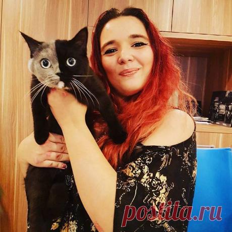 Котенок с «двумя лицами» вырос в самую прекрасную кошку на Земле | Журнал Домашний очаг