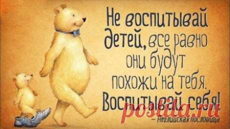 (51) Pinterest