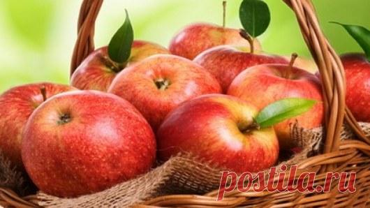 Как защитить себя от ранней смерти » NewsMedik - Новости медицины