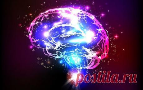 Нейропластика мозга: Как вы мыслите, так и получаете
По материалам — море смысла Мозг способен воображением, визуализацией изменять структуру и функцию серого вещества. Он может меняться под давлением мыслей, которыми он наполнен В нашем мозгу 100 млрд. нейронов – это больше, чем звезд в нашей галактике! Каждая клетка в свою очередь может дать 200 тыс. ответвлений. Таким образом, мозг имеет огромные ресурсы, чтобы […]
Читай пост далее на сайте. Жми ⏫ссылку выше