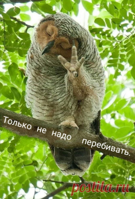..