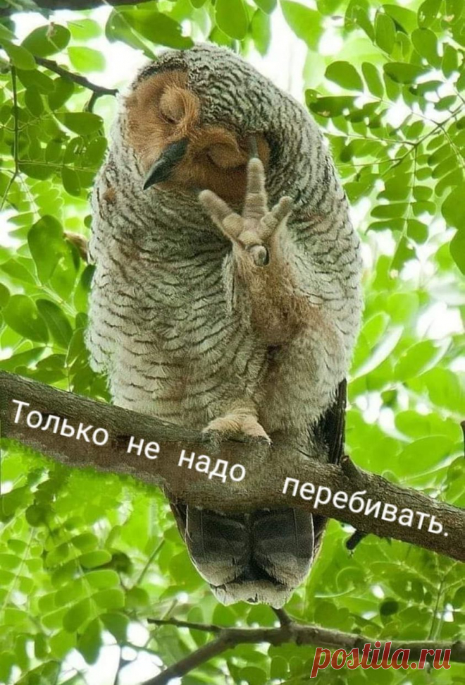 ..