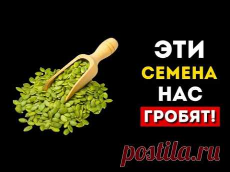 5 скрытых опасностей здоровых семян (это удивительно)