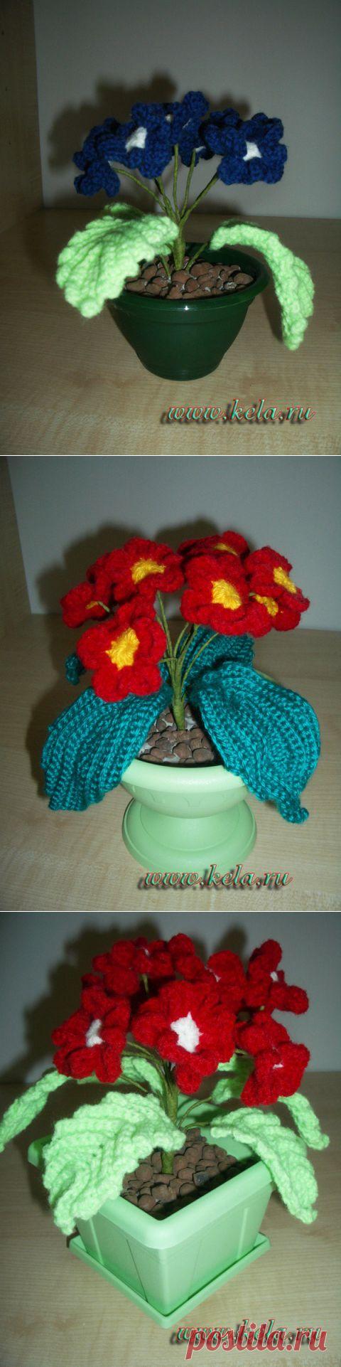 ПРИМУЛА. ВЯЗАНИЕ КРЮЧКОМ