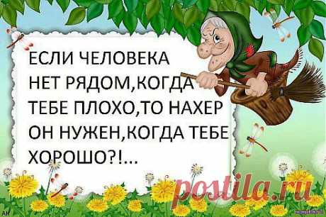 (29) Одноклассники