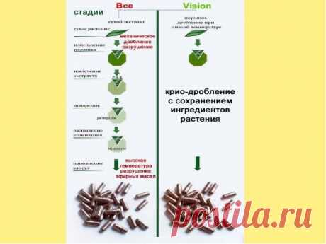 Криодробление и  криозащита-технология производство VISION