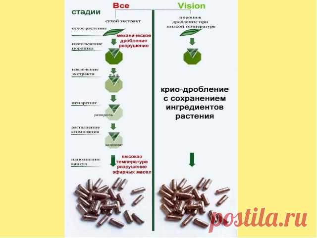 Криодробление и  криозащита-технология производство VISION