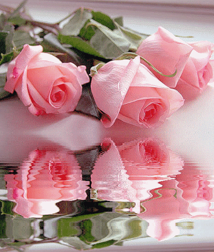 3D gallery - 7 фото. Фотографии Виктор Афонин.