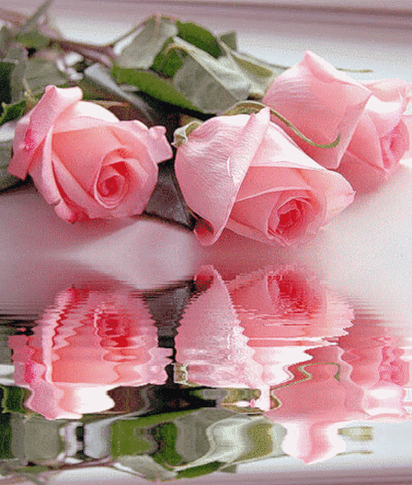 3D gallery - 7 фото. Фотографии Виктор Афонин.