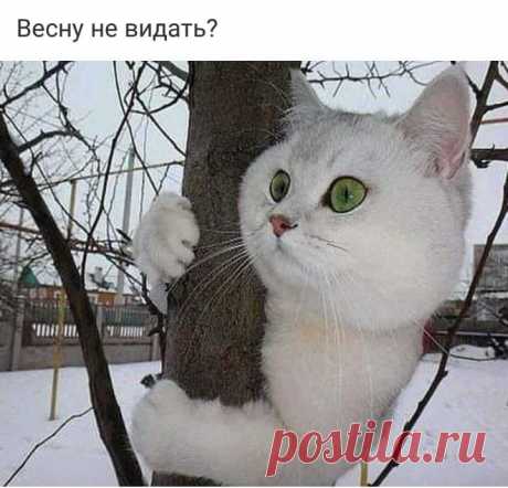 Мой Мир@Mail.Ru