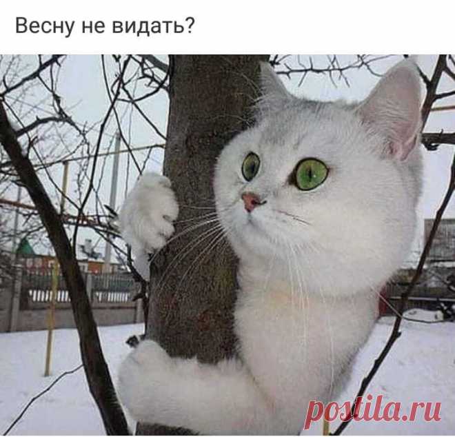 Мой Мир@Mail.Ru