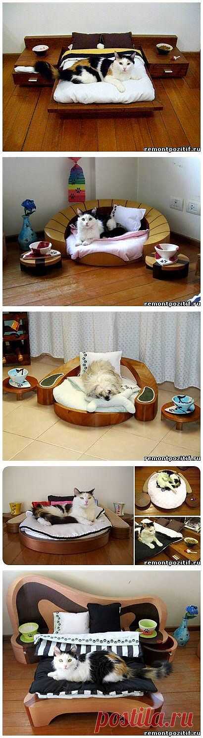 Дизайнерская мебель для животных