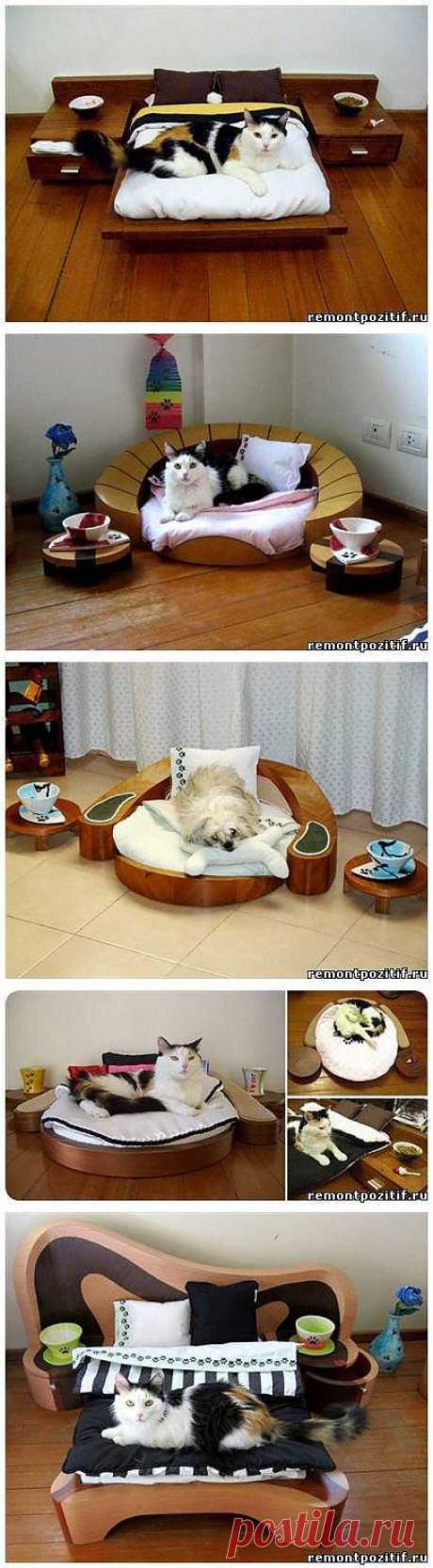 Дизайнерская мебель для животных