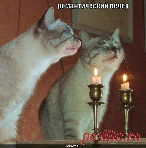 Сонет шуточный (Альбина Янкова) / Стихи.ру