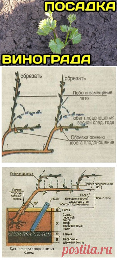 Одноклассники