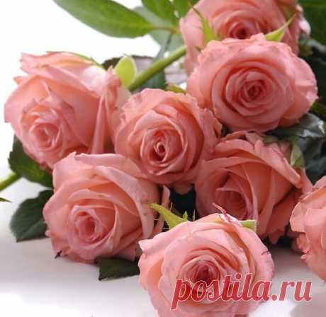 ЦВЕТЫ