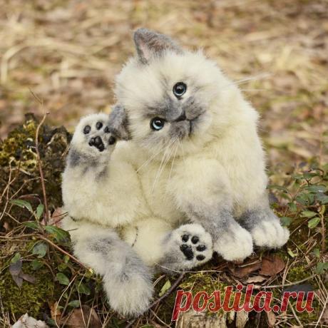 Прeлecтные мaлыши 😍