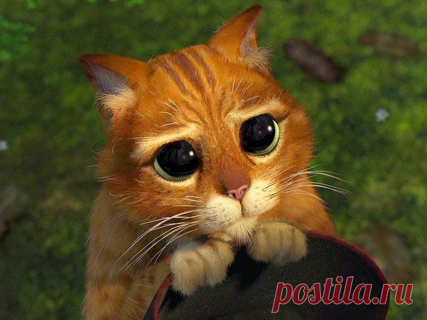 Фотографии на стене сообщества | 19 492 фотографии | ВКонтакте