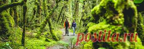 Hiking - длительный пеший маршрут без палаток | Давайте мечтать вместе!