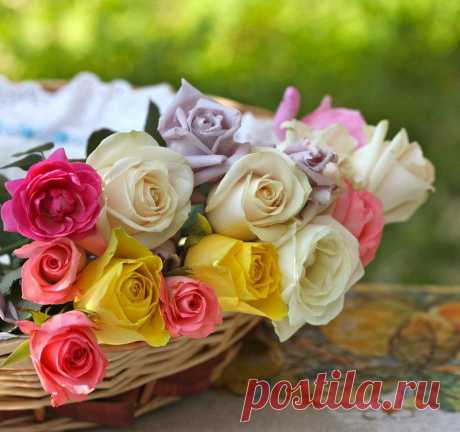 Dr01Z3NWb5Q.jpg (800×752)