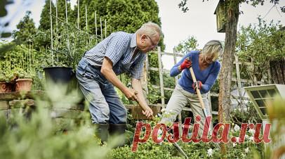 Садовод Ульянова: растения нужно обрабатывать ранней весной для защиты от вредителей. Садовод Ирина Ульянова рассказала, что нужно делать весной и осенью, чтобы защитить растения от вредителей и болезней. Читать далее
